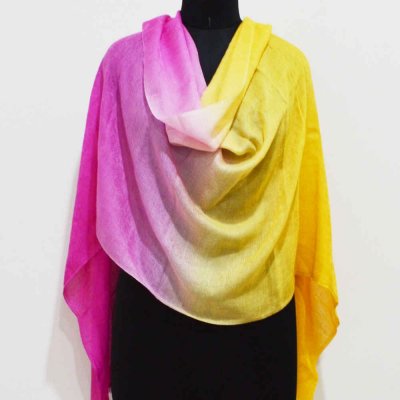 Pani Pashmina Wrap / stole with Jacquard Weave 