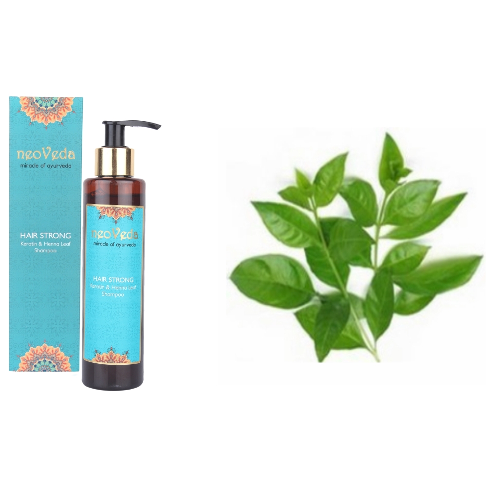 HAIR STRONG Keratin and Henna Leaf Shampoo | 2420004 | Craft House India