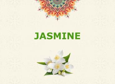 Jasmine