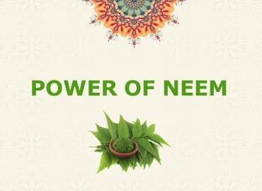 POWER OF NEEM